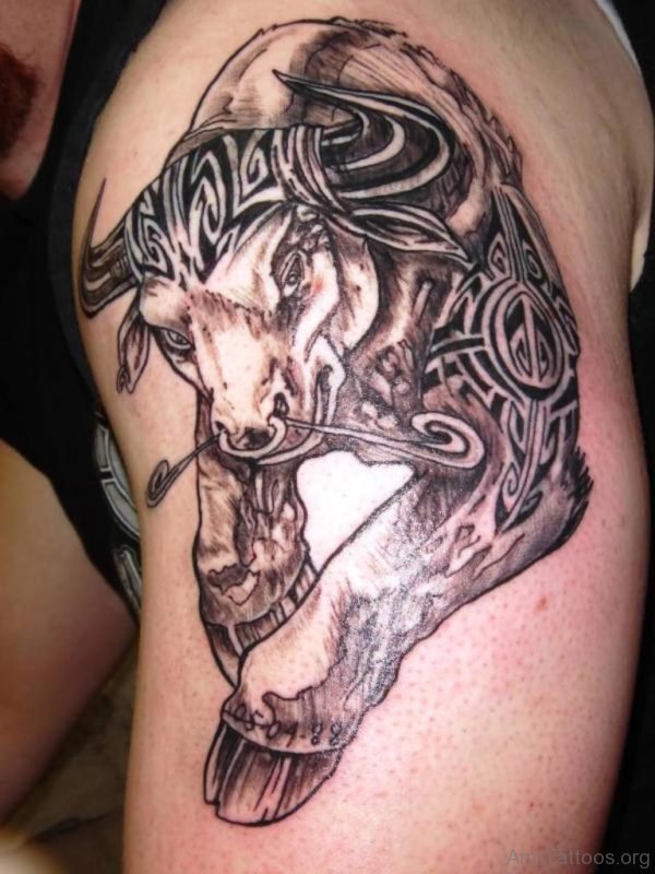 Amazing Bull Tattoo On Shoulder 