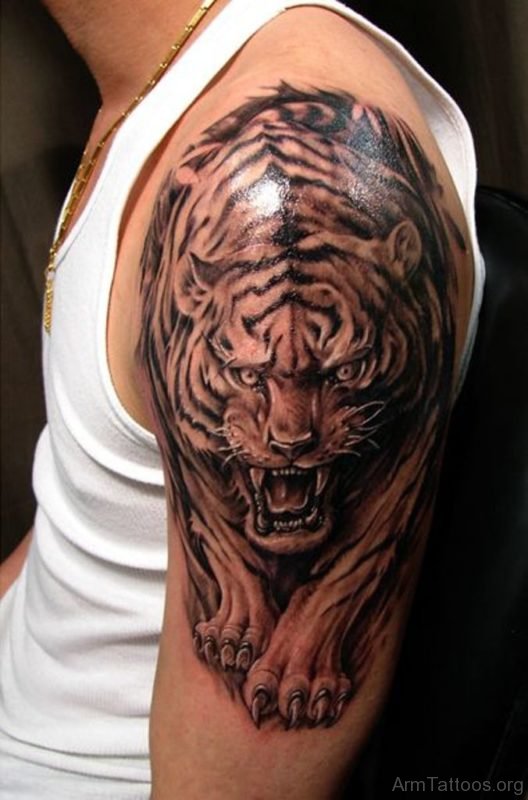Awesome Tiger Tattoo On Shoulder