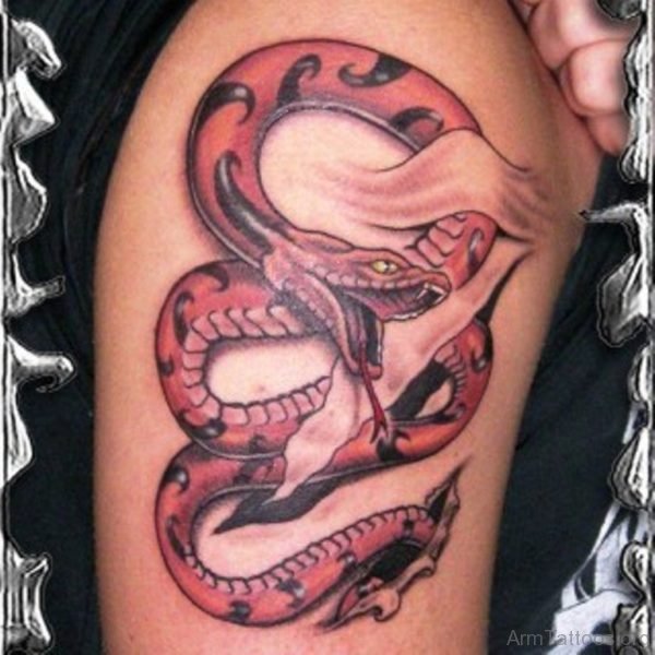 Beautiful Snake Tattoo