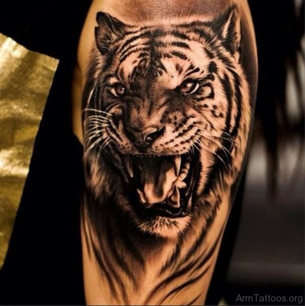 Black Realistic Tiger Tattoo