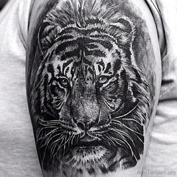 Black and Grey Tiger Tattoo