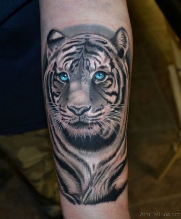 Blue Eyed Tiger Tattoo