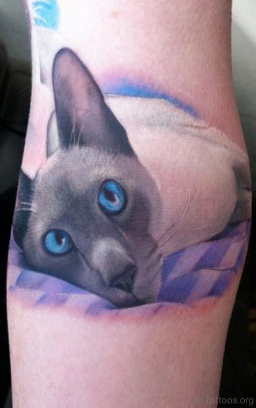 Blue Eyes Black Cat Tattoo On Right Arm