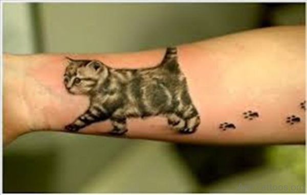 Brilliant Cat Tattoo