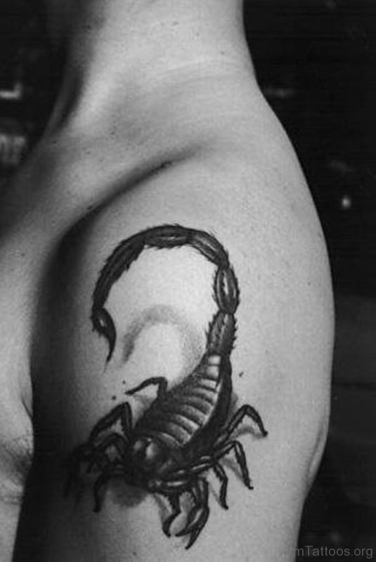 Brilliant Scorpion Tattoo On Shoulder