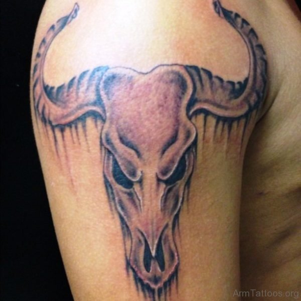 Bull Head Tattoo 