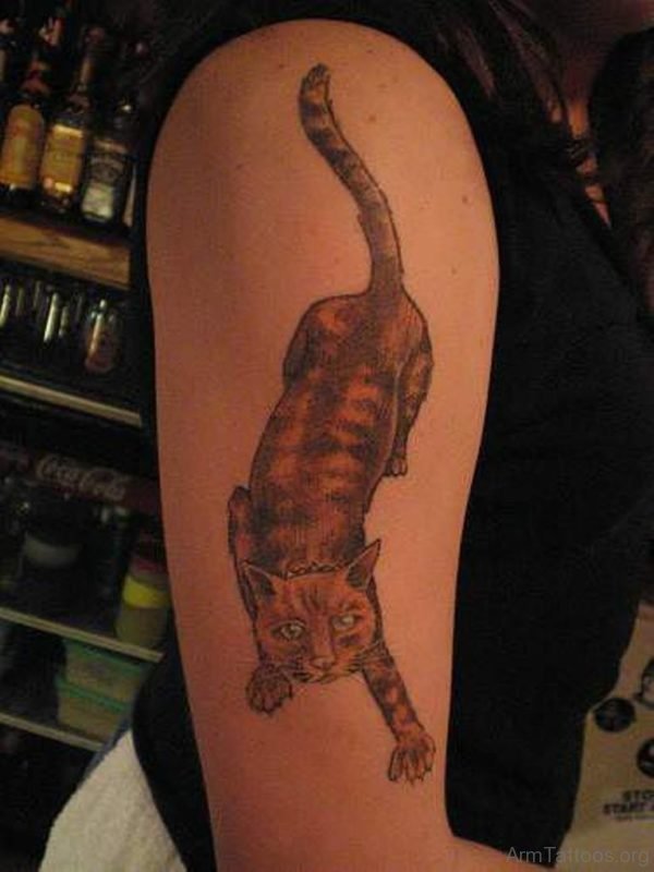 Cat Tattoo Design