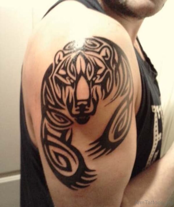 Celtic Bear Tattoo