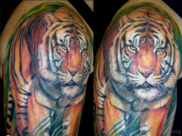 Color Ink Tiger Tattoo