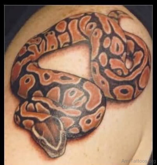 Colored Snake Tattoo On Arm 