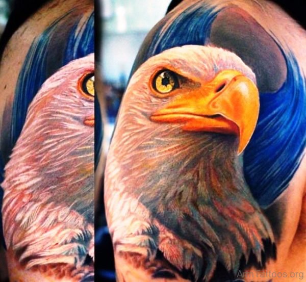 Colorful Eagle Tattoo On Right Arm 