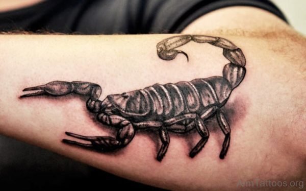 Cool Scorpion Tattoo On Arm
