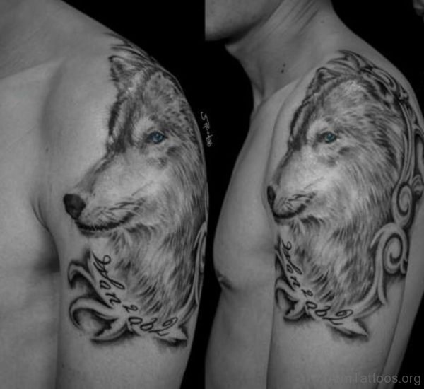Excellent Wolf Tattoo On Shoulder