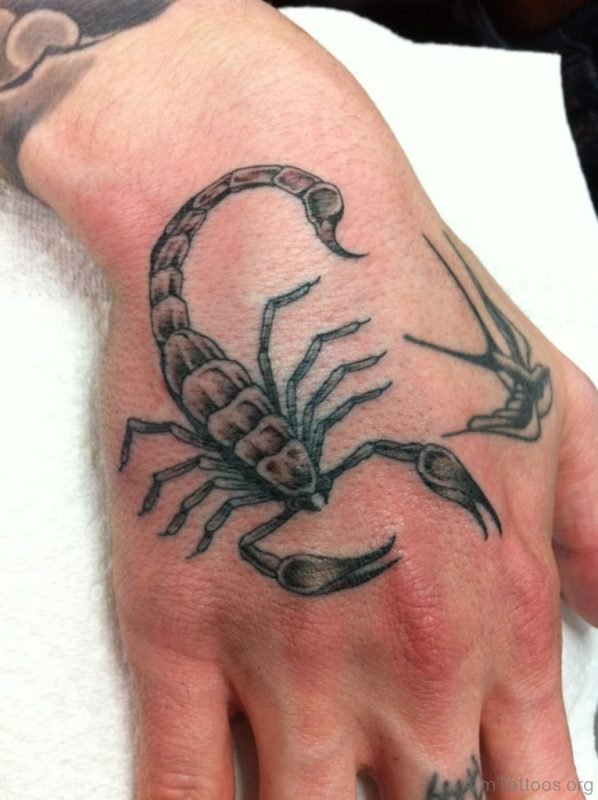 Fabulous Scorpion Tattoo On Hand