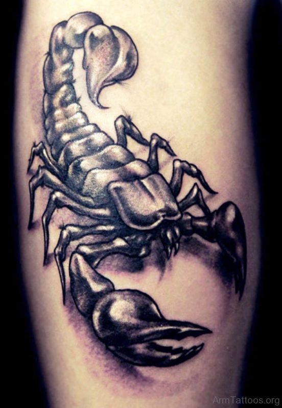 Fantastic Scorpion Tattoo On Arm