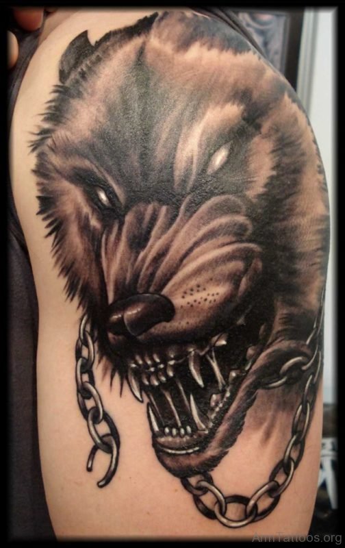 Fabulous Wolf Tattoo On Left Shoulder