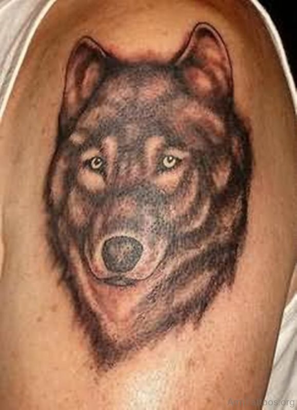 Fine Wolf Tattoo