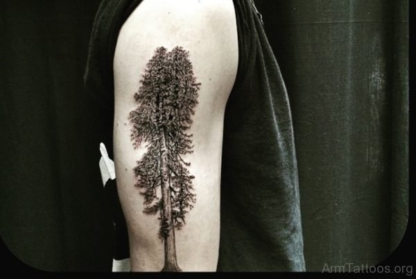 Giant Tree Tattoo on Shoulder