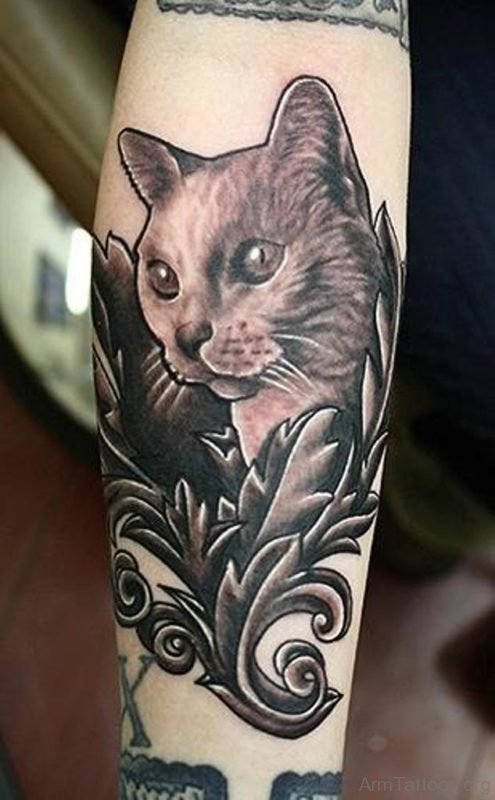 Good Looking Cat Tattoo