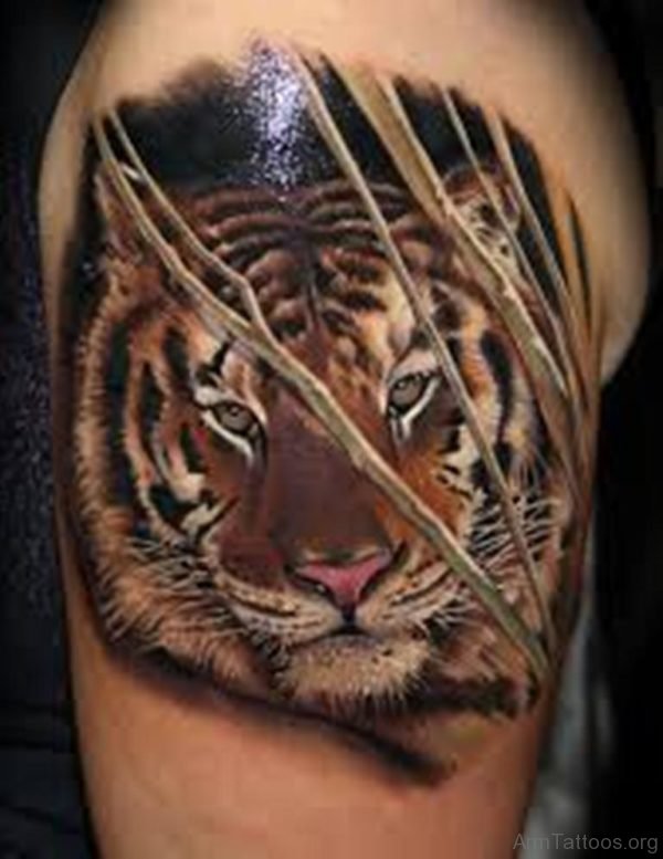 Good Tiger Tattoo