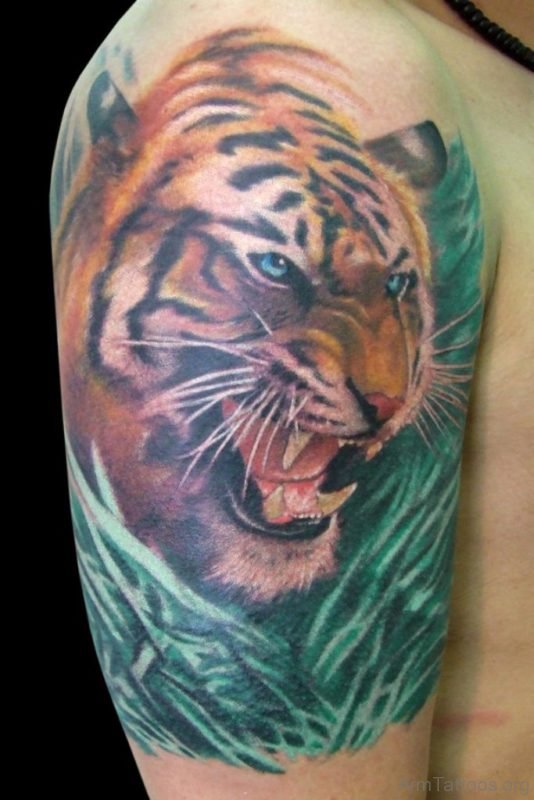 Green Eyed Tiger Tattoo