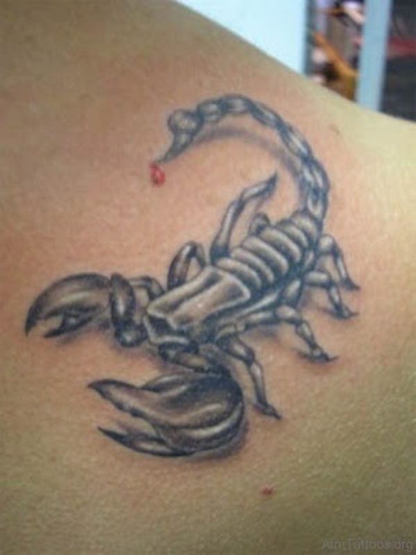 Grey 3D Scorpion Tattoo