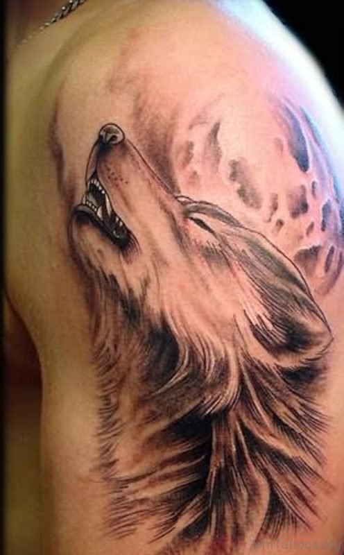 Grey Wolf Head Tattoo On Left Shoulder