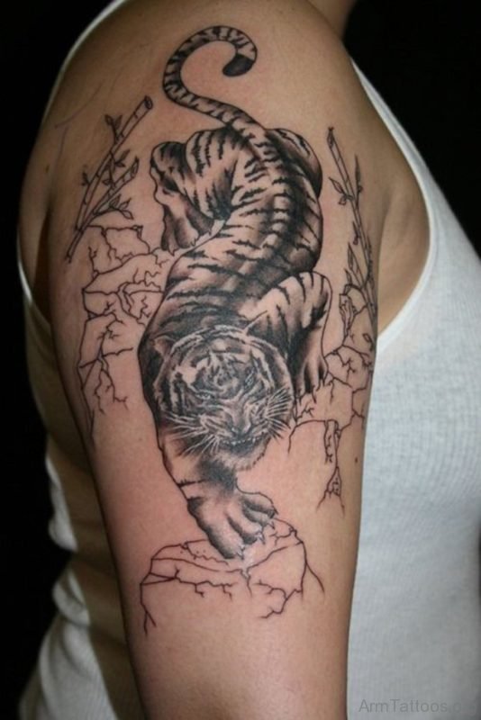 Half Sleeve Tiger Tattoo