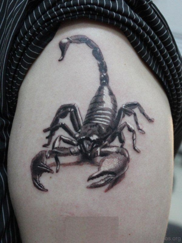 Impressive Scorpion Tattoo