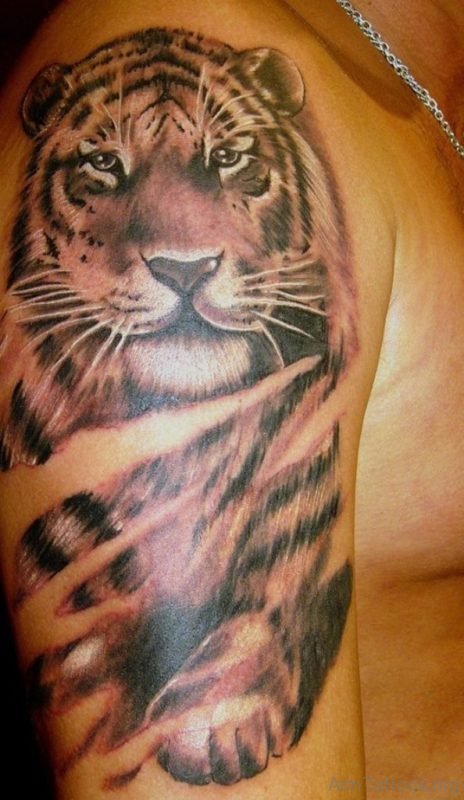 Lovely Tiger Tattoo