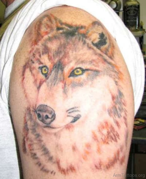 Lovely Wolf Tattoo On Shoulder