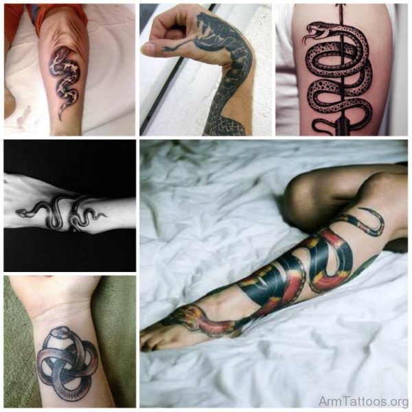 Multiple Snake Tattoo 