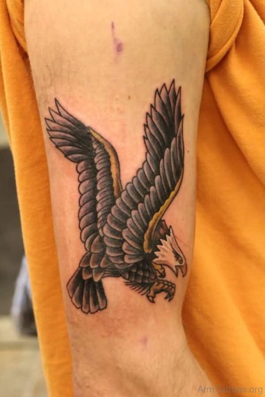 Nice Eagle Tattoo On Arm
