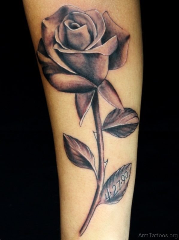 Nice Rose Tattoo On Arm