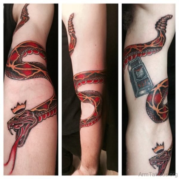 Nice Snake Tattoo 