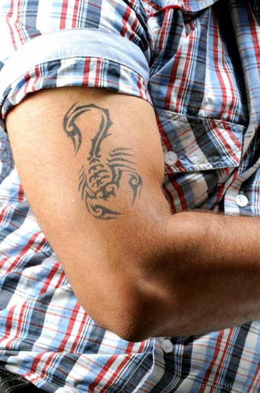 Outstanding Scorpion Tattoo