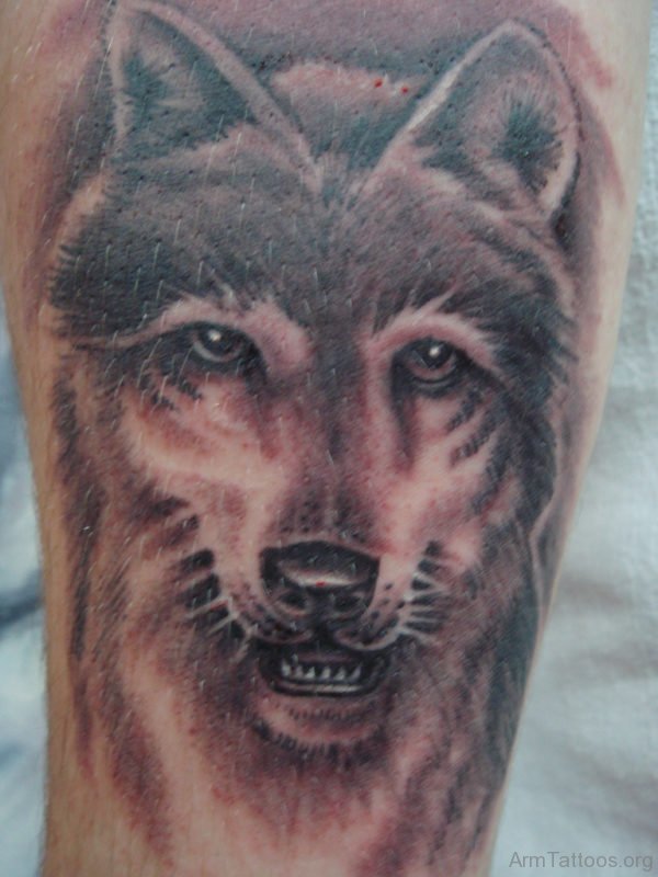 Outstanding Wolf Tattoo