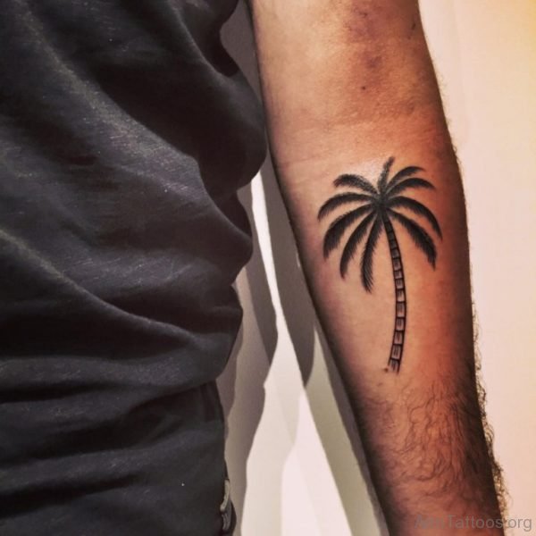 Palm Tree Tattoo On Arm