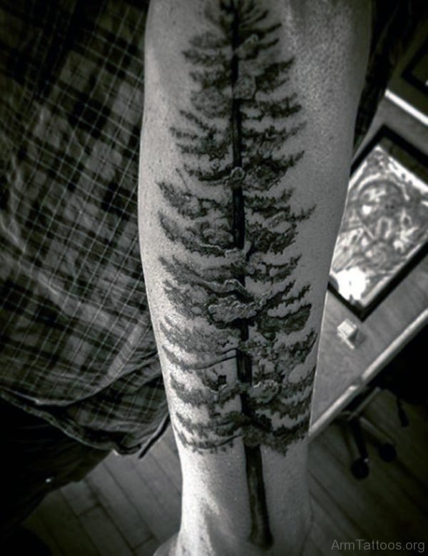 Pine Tree Tattoo