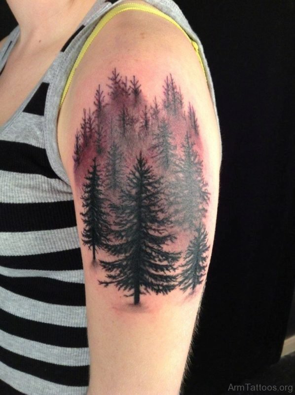 Pine Tree Tattoo On Shoulder
