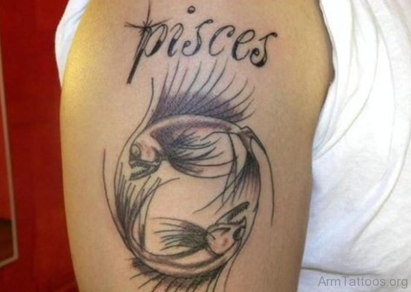 Pisces 