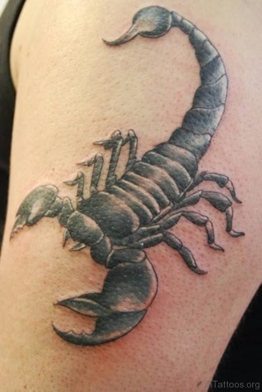 Pretty Scorpion Tattoo On Shoulder