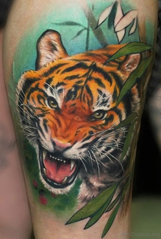 Pretty Tiger Tattoo
