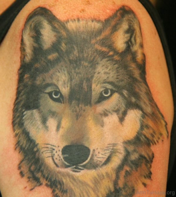 Realistic Wolf Tattoo