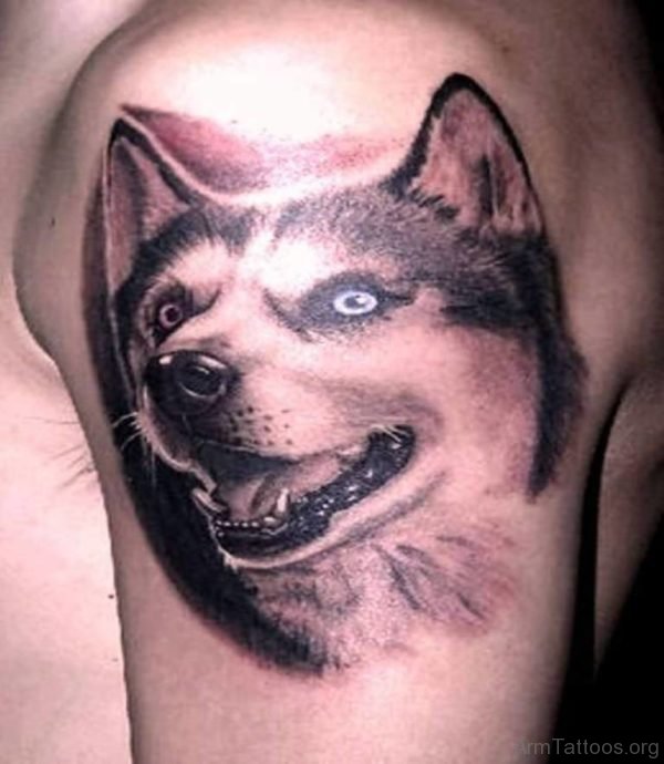 Scary Wolf Face Tattoo