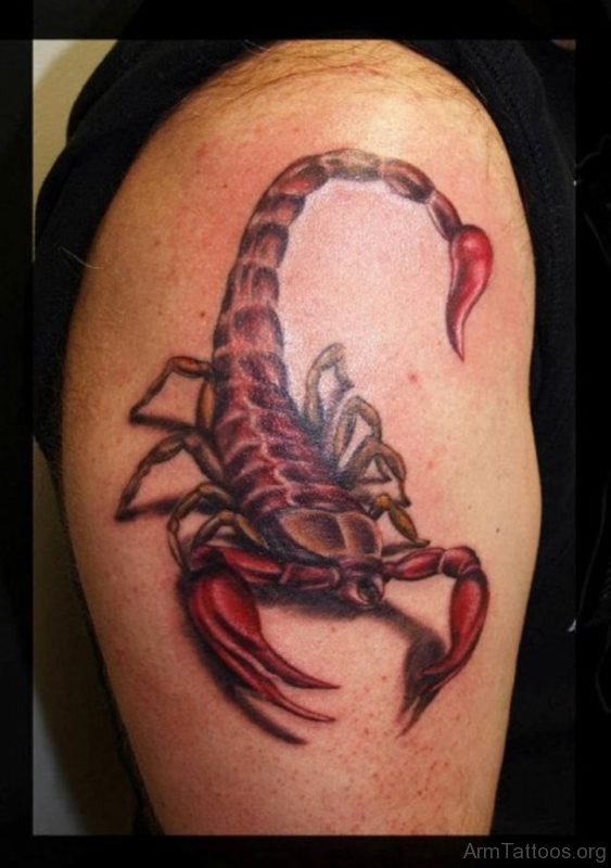 Stunning Scorpion Tattoo