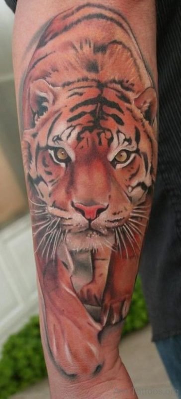 Stunning Tiger Tattoo
