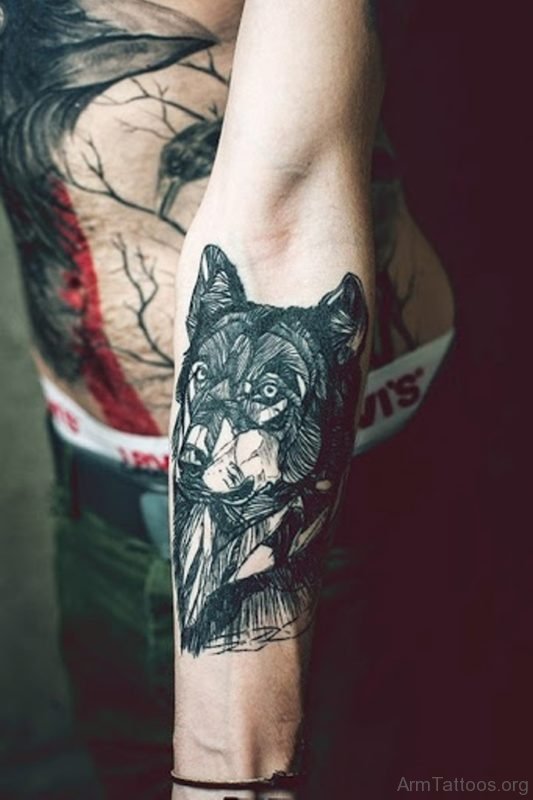 Stylish Wolf Tattoo On Arm