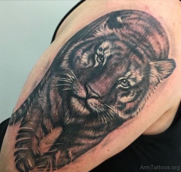 Tiger Tattoo Design