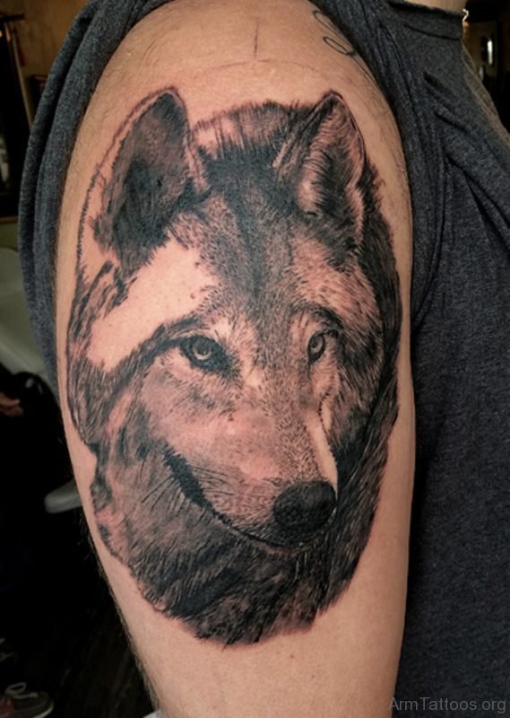 Wolf Head Tattoo Design